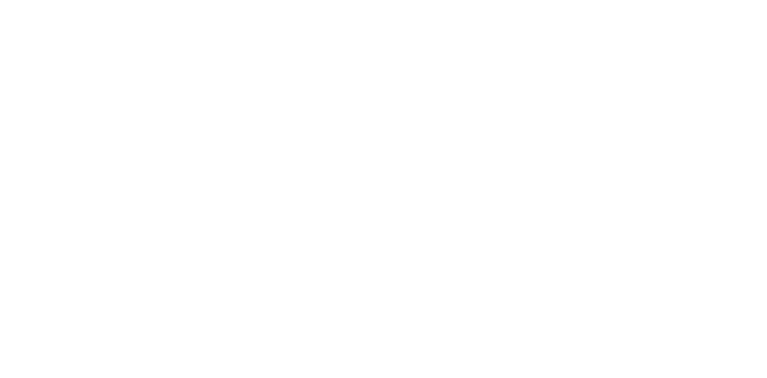 Logo MegaBots